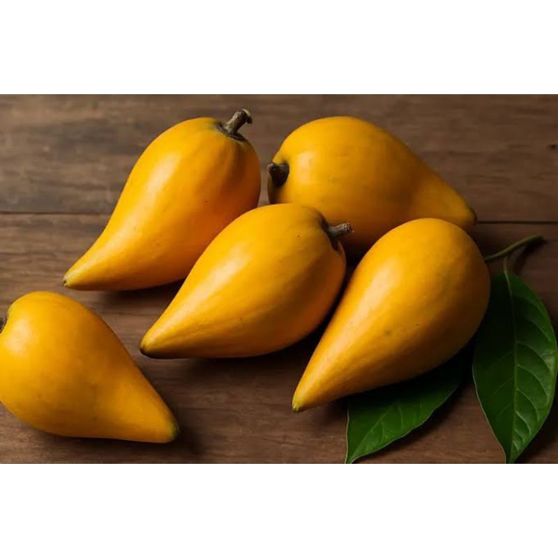 

buah alkesah sawo mentega manis