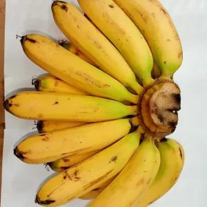 

pisang barangan
