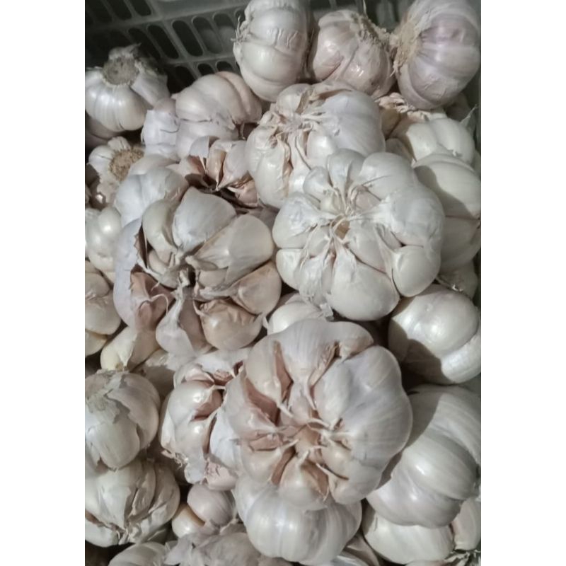 

BAWANG PUTIH FRESS 250g