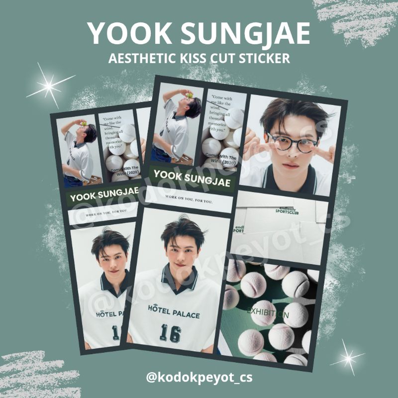

Sticker BTOB Yook Sungjae - Aesthetic Kiss Cut Stiker Case Glossy
