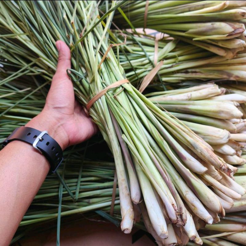 

daun sereh +batang sereh 1 kg sereh wangi asli bandung dadakan
