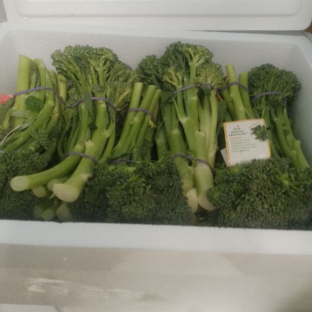 

Brocolini australia fresh