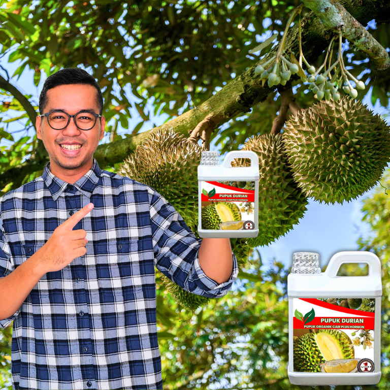 BEST SELLER PUPUK ORGANIK CAIR DURIAN CEPAT BERBUAH LEBAT TIDAK RONTOK BUNGA BOOSTER DURIAN MONTONG
