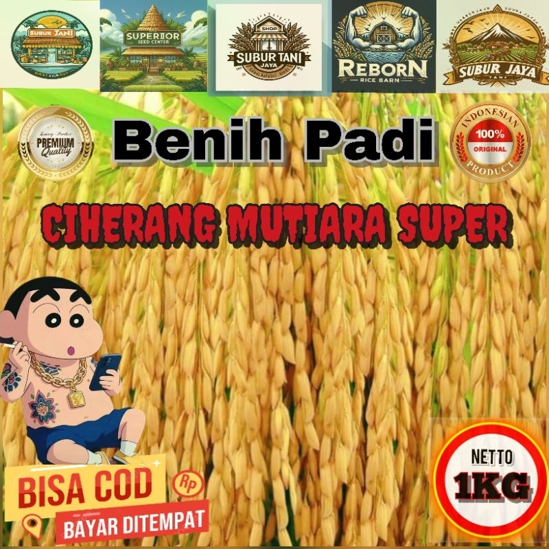 (1kg) Benih Padi CIHERANG MUTIARA SUPER Bibit padi super unggul, gabah berkualitas hasill melimpahhh