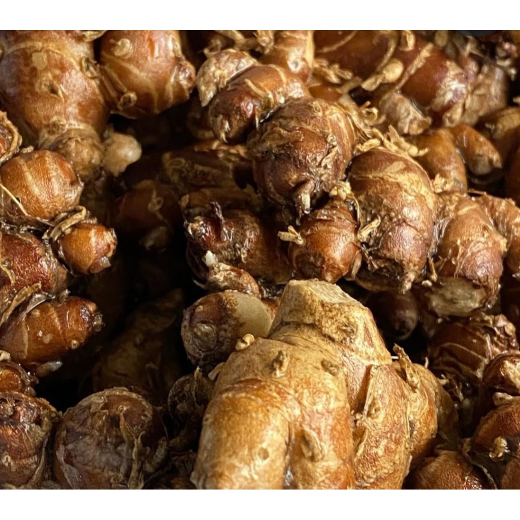 

KENCUR/ BUMBU SEBLAK SEGAR