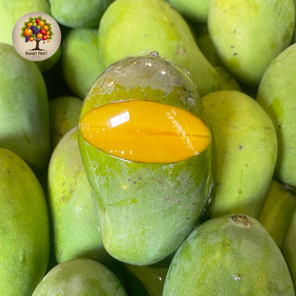 

Mangga Matang Pohon | Mangga harum Manis Mantang Pohon 1kg