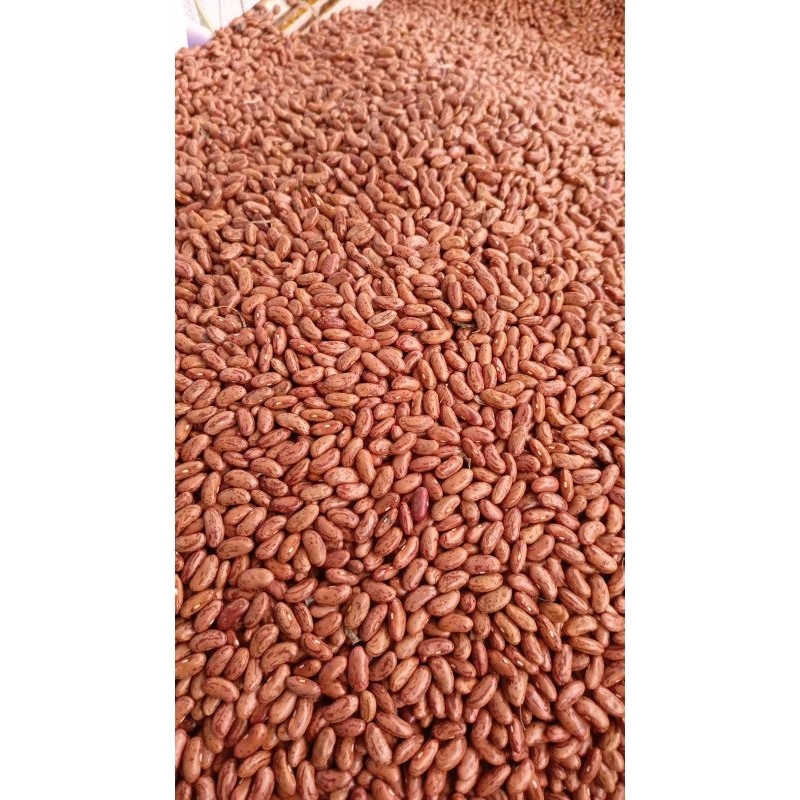 

kacang merah kering 500gram