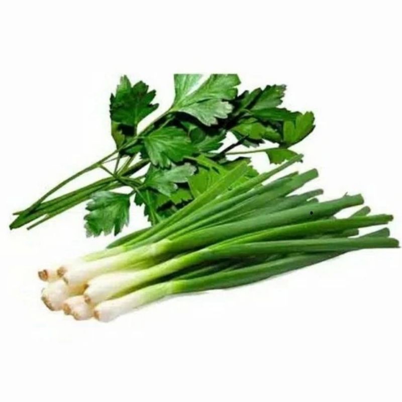 

[PS] Daun Bawang Seledri
