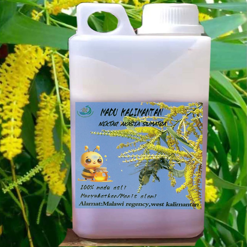 PROMO MADU 1KG // MADU ASLI KALIMANTAN