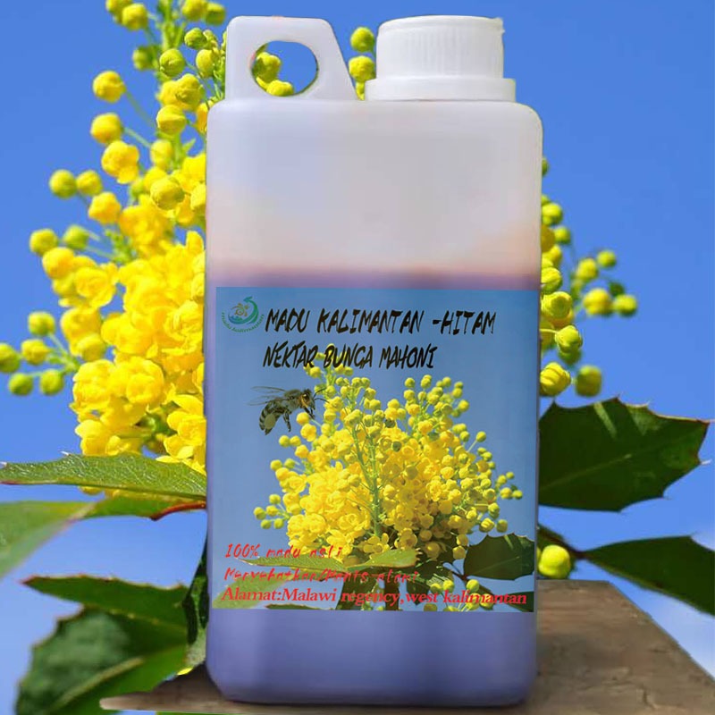 

Madu Kalimantan // madu asli // madu nektar bunga mahoni ( 1 kg, 500 gr )