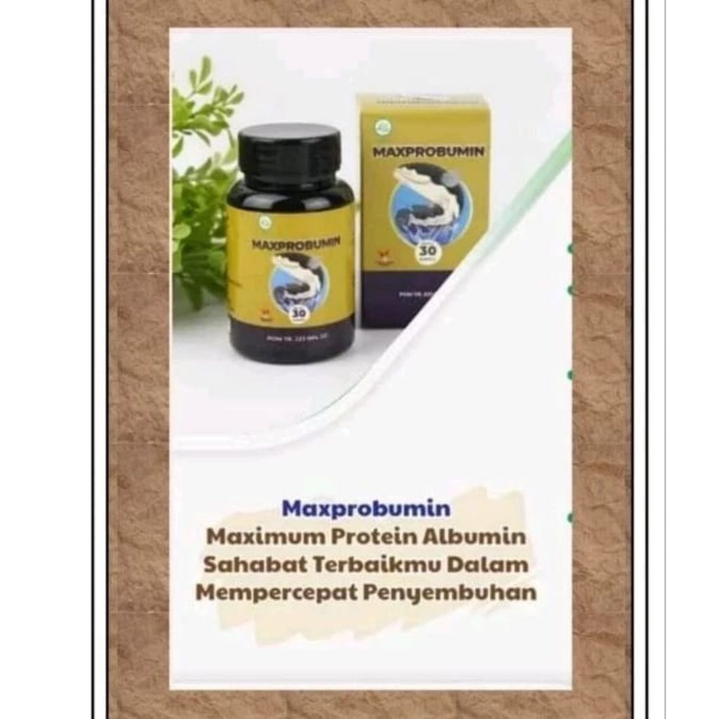 Maxprobumin Obat Herbal Ekstrak Ikan Gabus 500mg BPOM Resmi kapsul ikan gabus ori