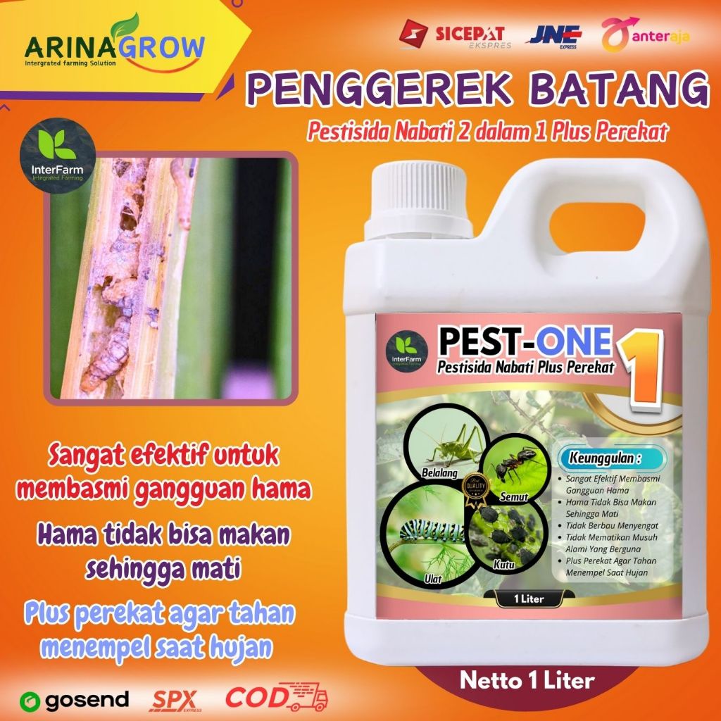 Obat Hama Penggerek/  Obat Penggerek Ampuh /Antihama PESTONE 1 Liter / Obat Anti Penggerek Batang