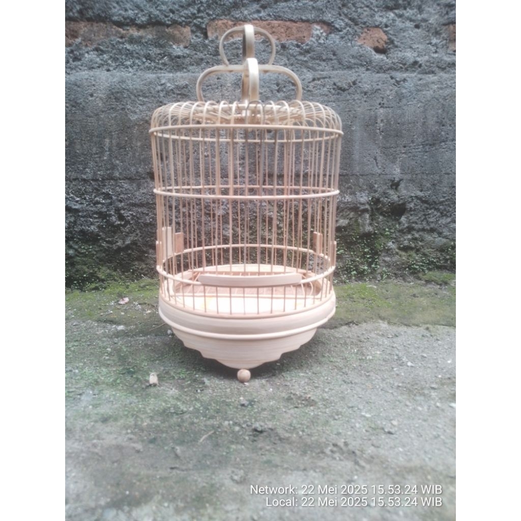 Sangkar Pleci cungkok Halus