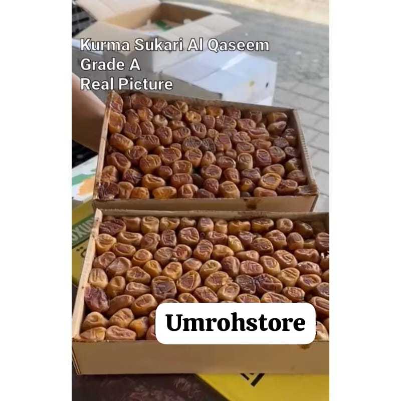 

Kurma Sukari Al Qaseem Premium 3 Kg Fresh Ruthab Enak Legit Umrohstore