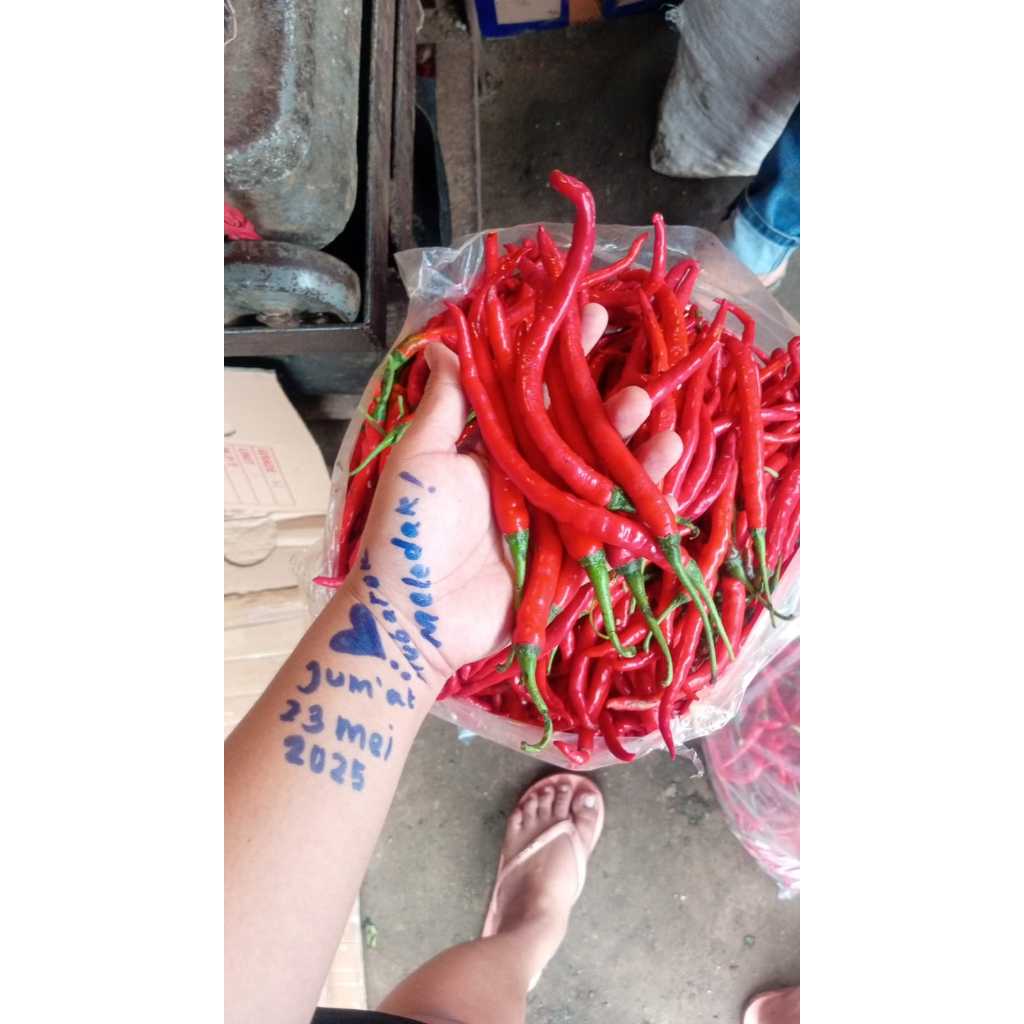 

Cabe / Cabai Merah Keriting Ori