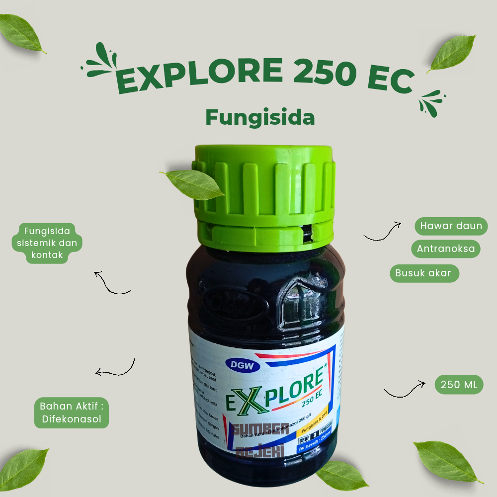 EXPLORE 250 EC 250 ML
