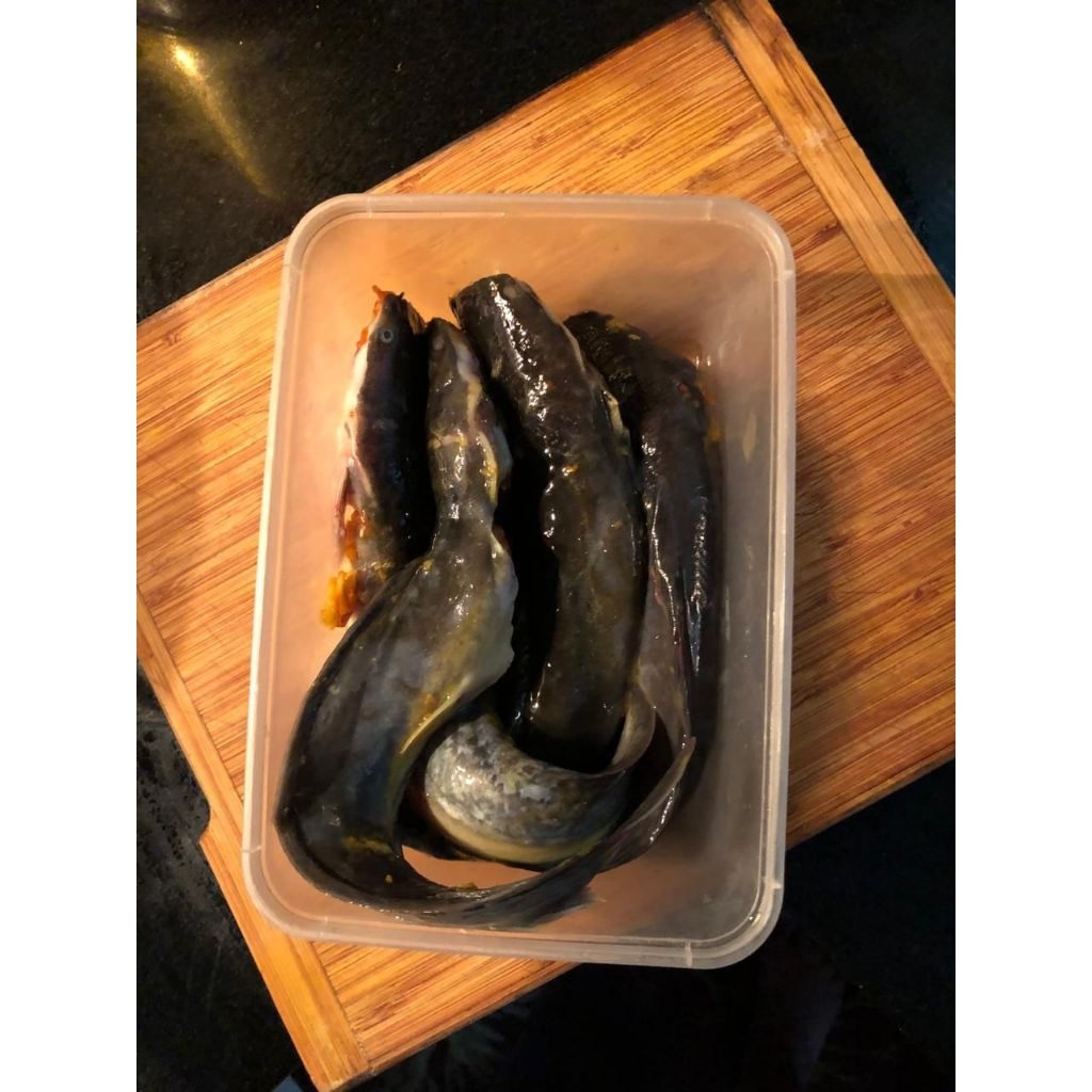 

Lele Frozen Bumbu Kuning siap goreng - isi 4 pcs