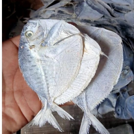 

ikan asin etem semar termurahcod bayar di tempat