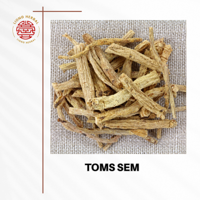 

Yong Sem / TongSim / Dang Shen Premium / Tong Sim / Radix Codonopsis / Tom Sem / tong sem /DangShen Memperkuat Stamina 100 gram