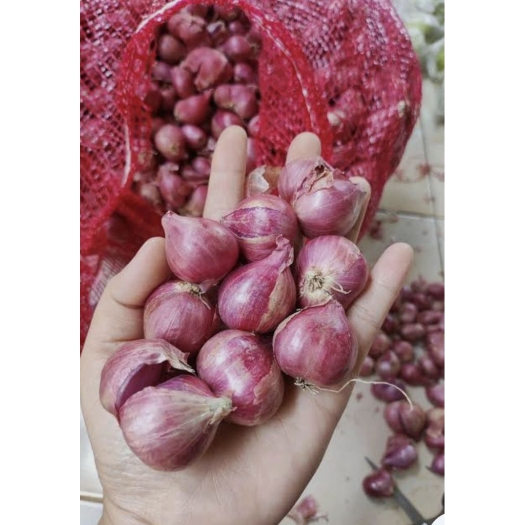 

Bawang Merah Super