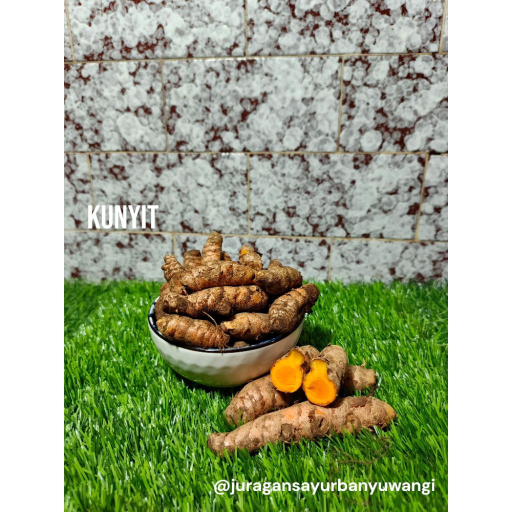 

Kunyit Segar Super 1kg Murah Alami Tua fresh