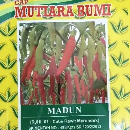 BIBIT BENIH CABE RAWIT Putih Merah SUPER BESAR BERBUAH LEBAT MADUN ISI 10 GRAM CAP MUTIARA BUMI