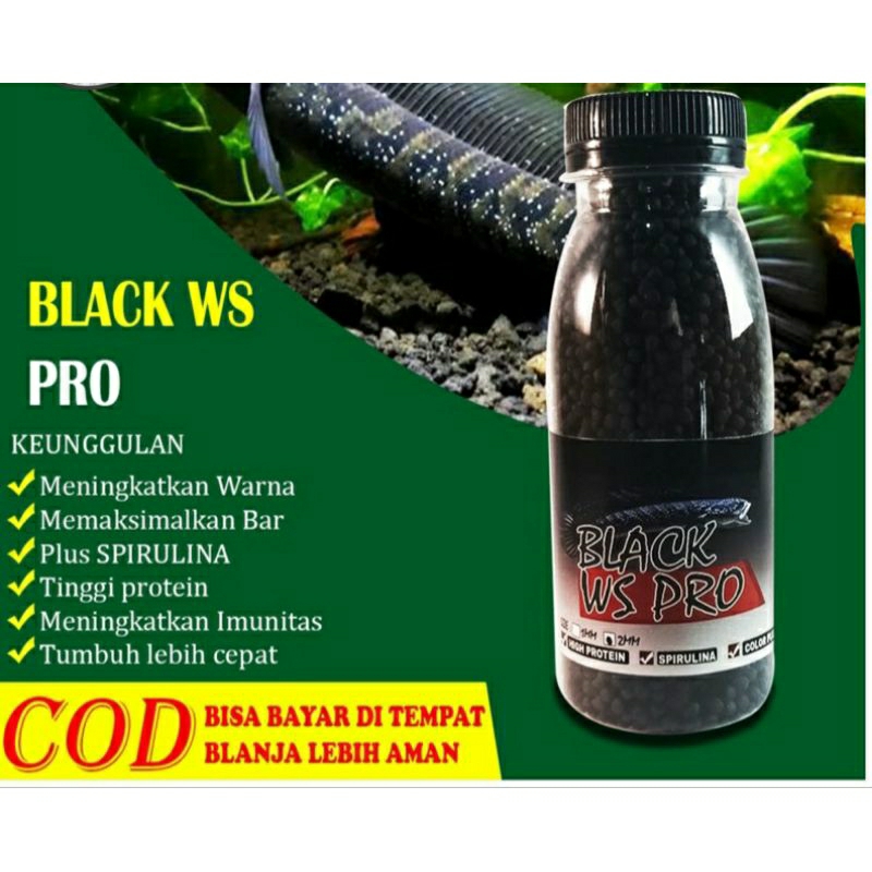 Pelet black ws pro ikan chana asiatica / pelet chana asiatica / pakan ikan chana