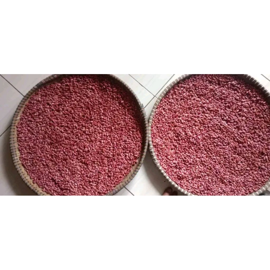 

kacang merah super 1kg