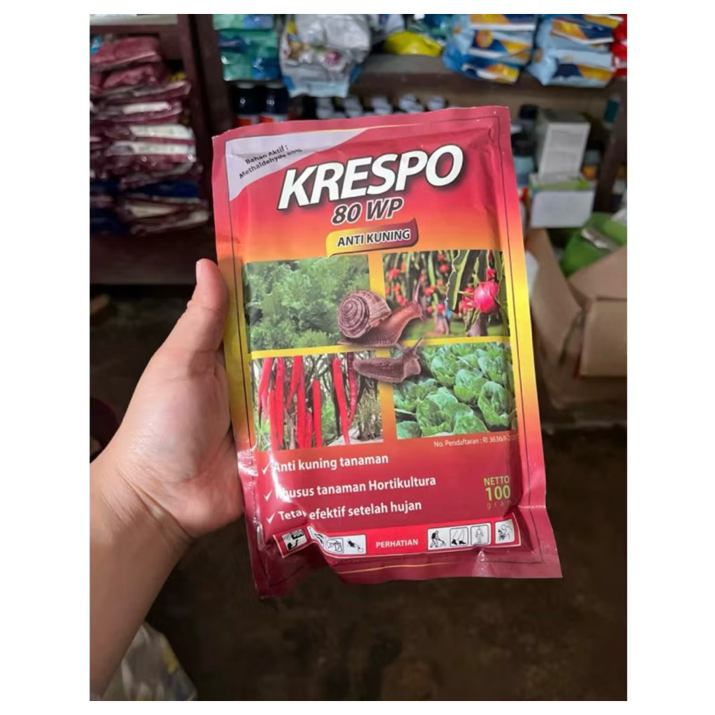 moluskisida molista krespo ukuran 100gr