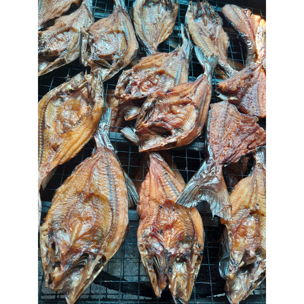 

ikan Lele salai/sale