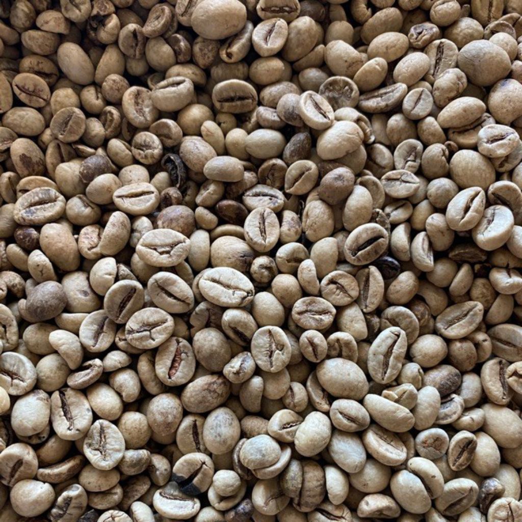 

Biji Kopi Mentah khas desa 500gr