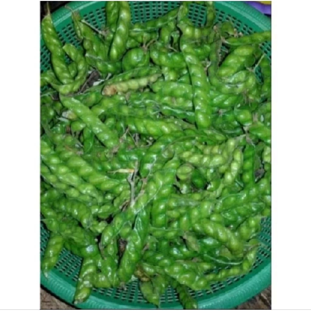 

hiris segar dadakan 60 gram