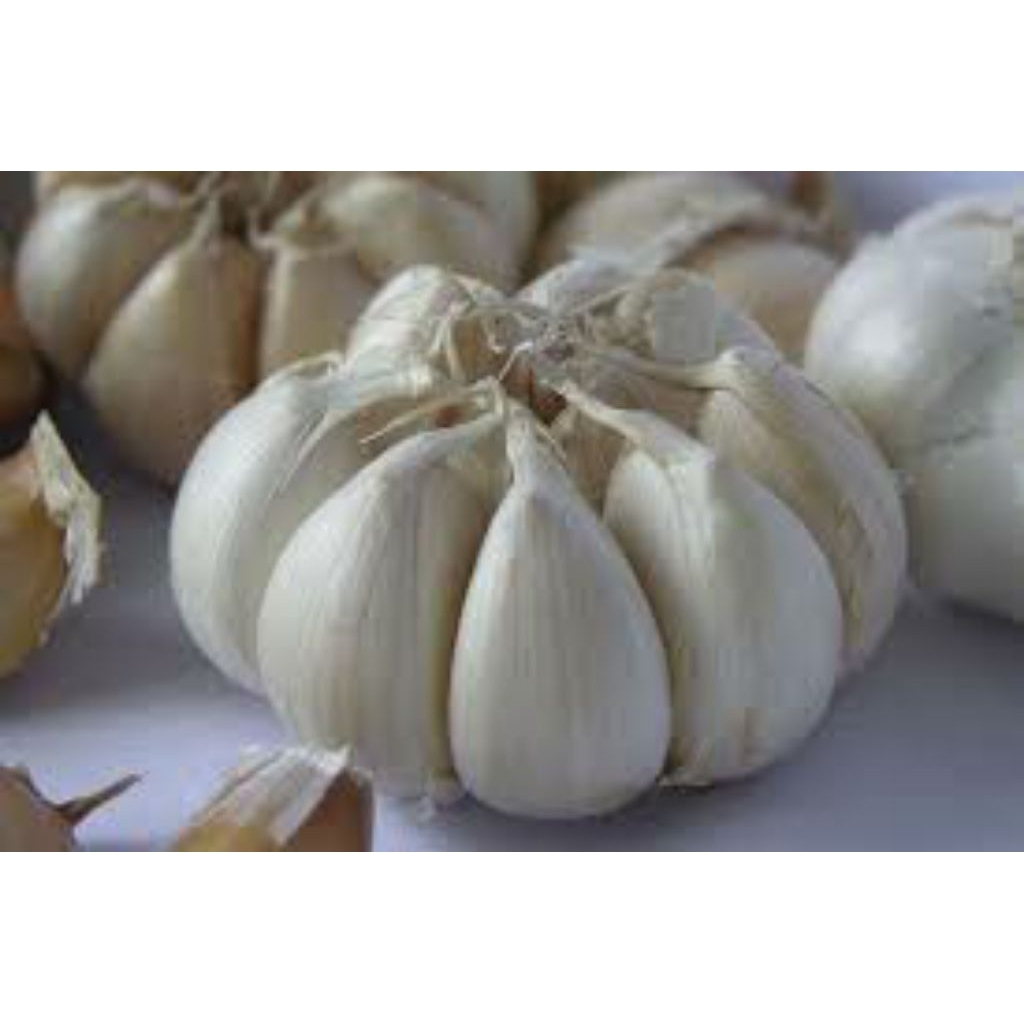 

Bawang putih bersih besar Rp 16.500 / gr