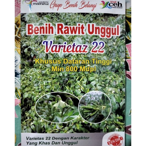 Benih Cabe Rawit Hijau Varietaz 22 Kemasan 1 Gram  Bibit Cabai Rawit Ijo Varietas 22  Rawit Ijo V22 