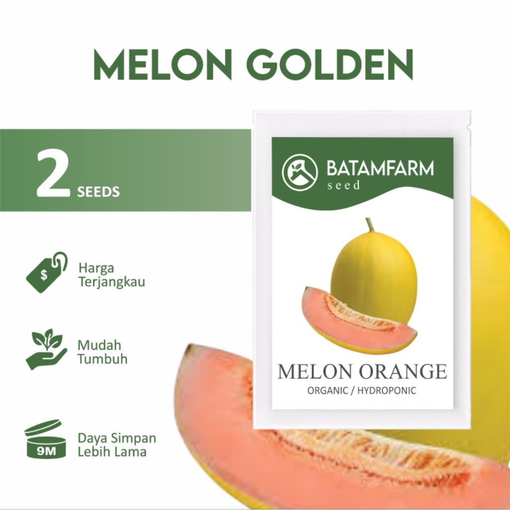 Benih Biji Bibit Melon New Kinanti F1