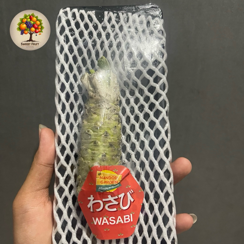

Wasabi Import | Wasabi Root | Wasabi Berkhasiat Untuk Kesehatan | Pcs