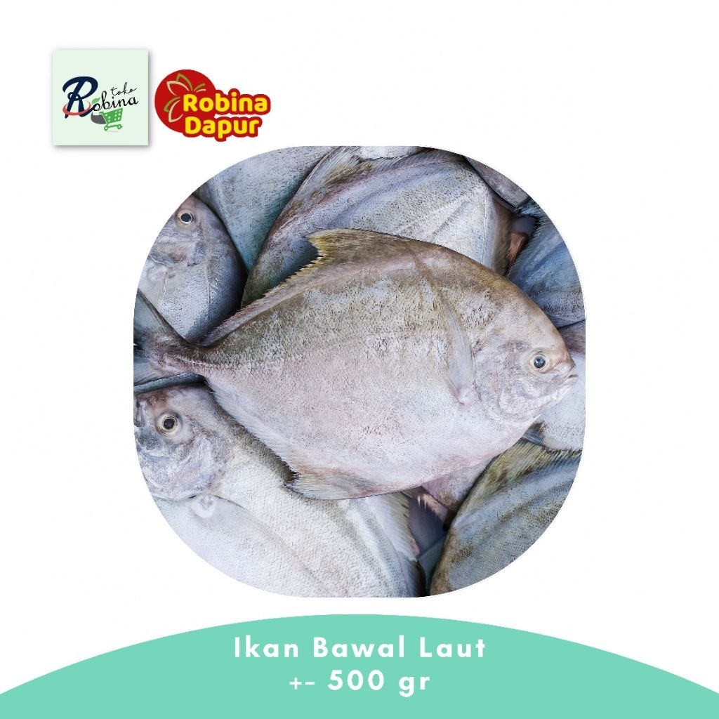 

Segar Ikan Bawal Laut Tawar 500 gr