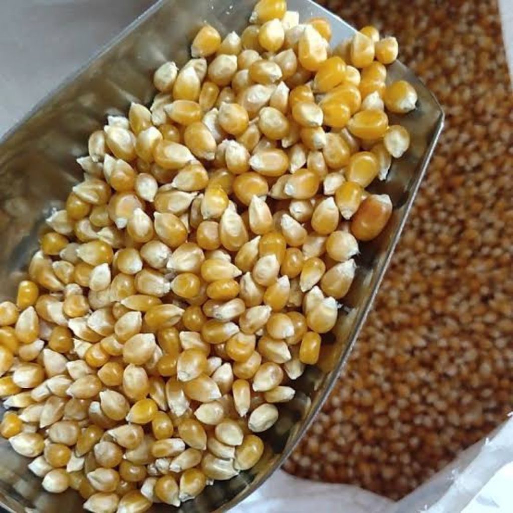 

Jagung Pop Corn 500 gram - biji jagung