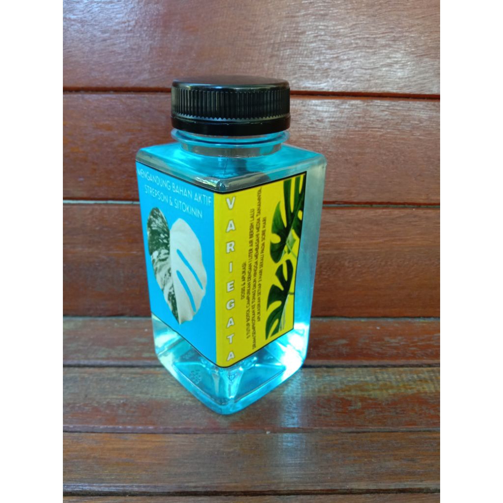 Hormon Mutasi Variegata Permanen | Hormon Strepson Untuk Segala Jenis Tanaman