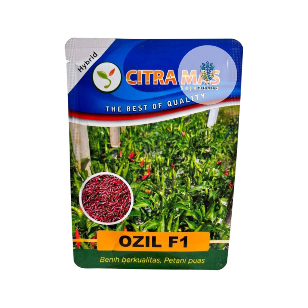 BENIH CABAI CABE RAWIT HIBRIDA OZIL F1 10 GRAM CITRA MAS