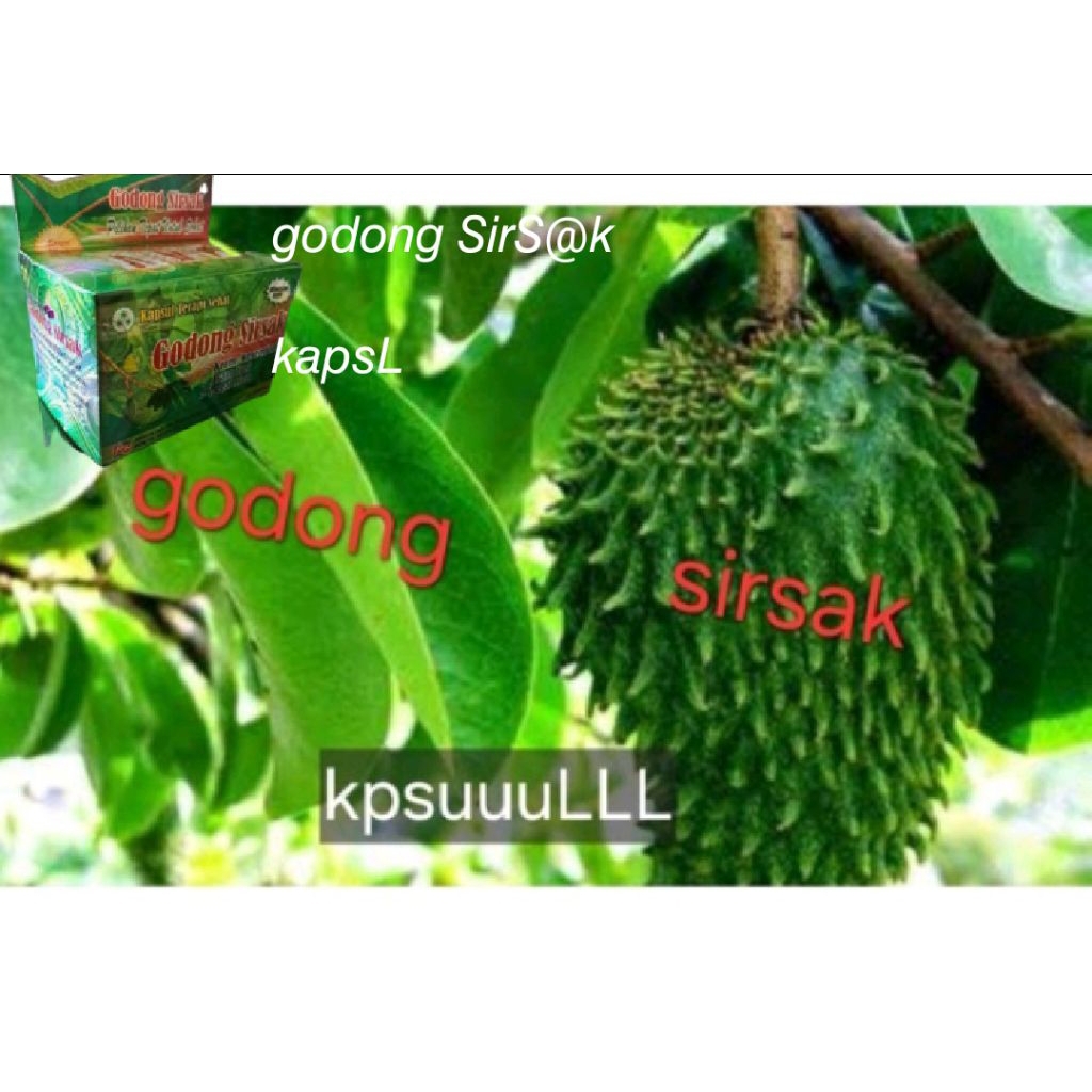 

makanan kaps sirsak alami dan gdong buah enak