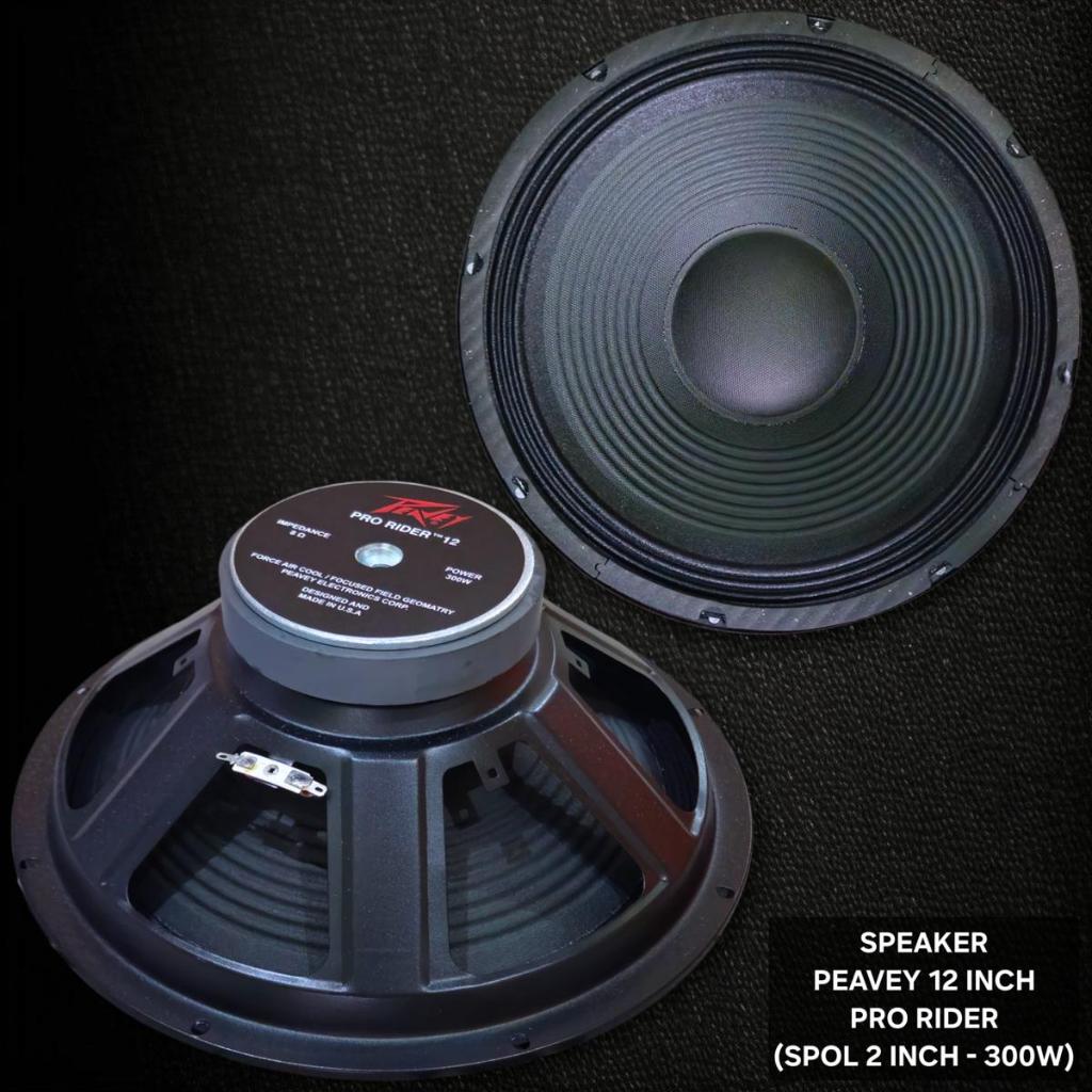Speaker Peavey 12 inch Pro Rider 300W Made In USA 300 Watt