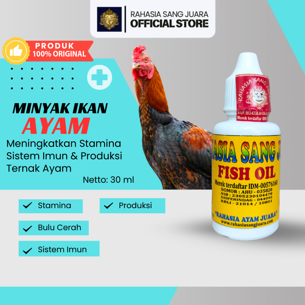 MINYAK IKAN UNTUK AYAM BANGKOK MENINGKATKAN DAYA TAHAN TUBUH DAN MENJAGA KESEHATAN AYAM