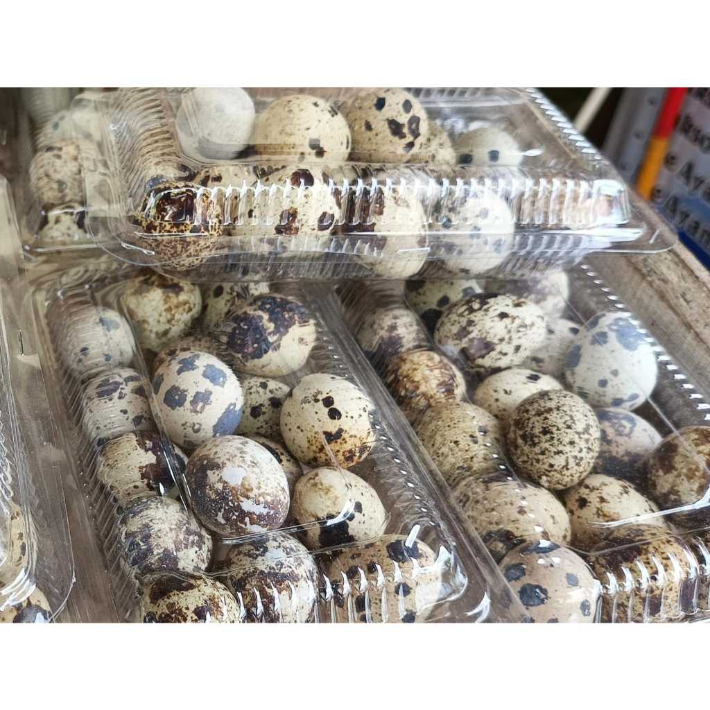 

[ Per Bungkus ] Telur Puyuh Fresh