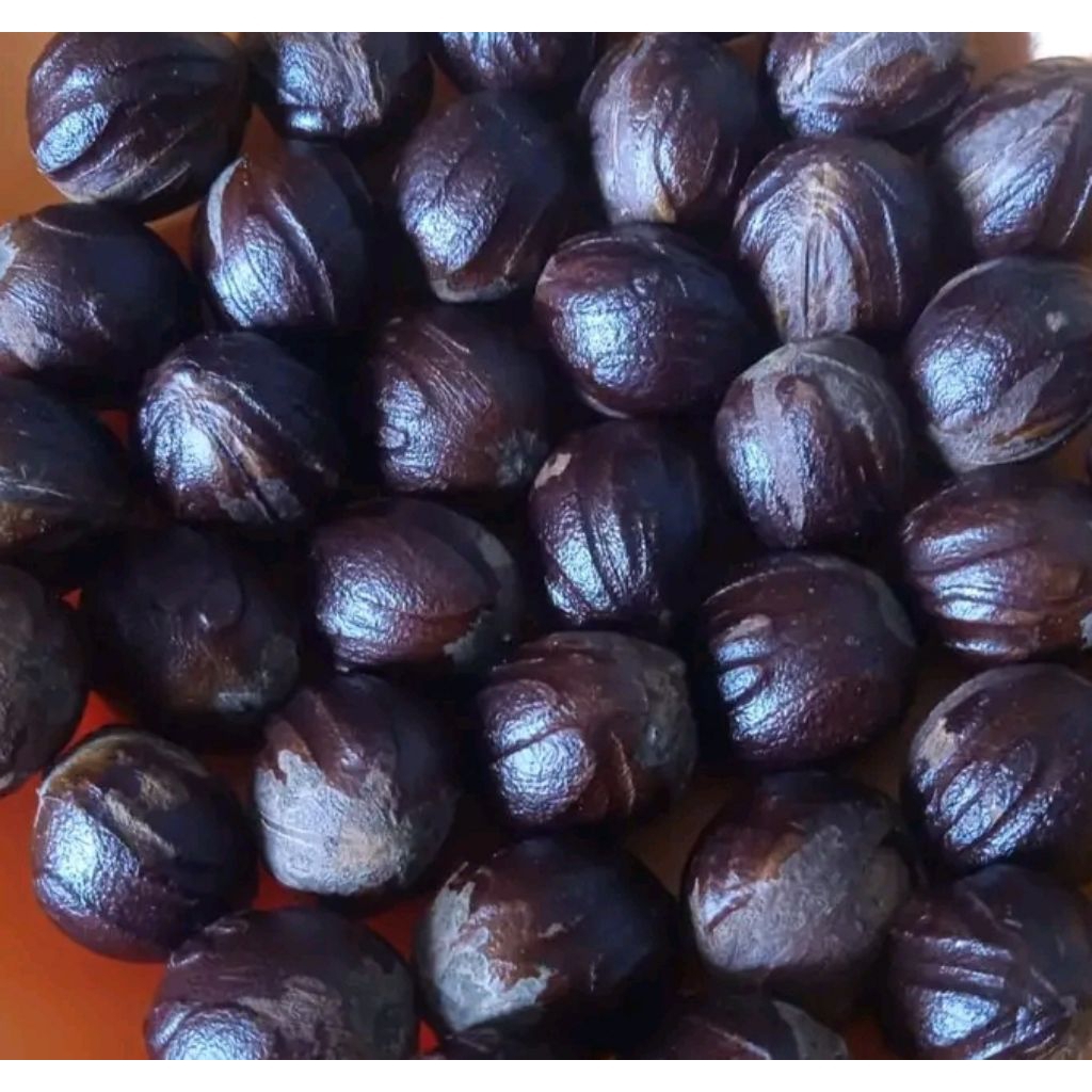 

biji pala peremium asli indonesia.50/100gr