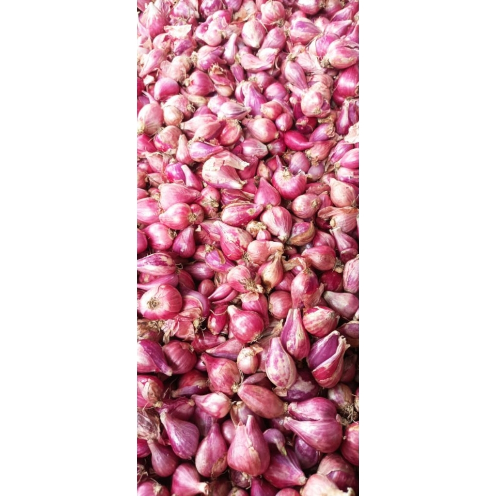

brambang nganjuk/brambang 1kg