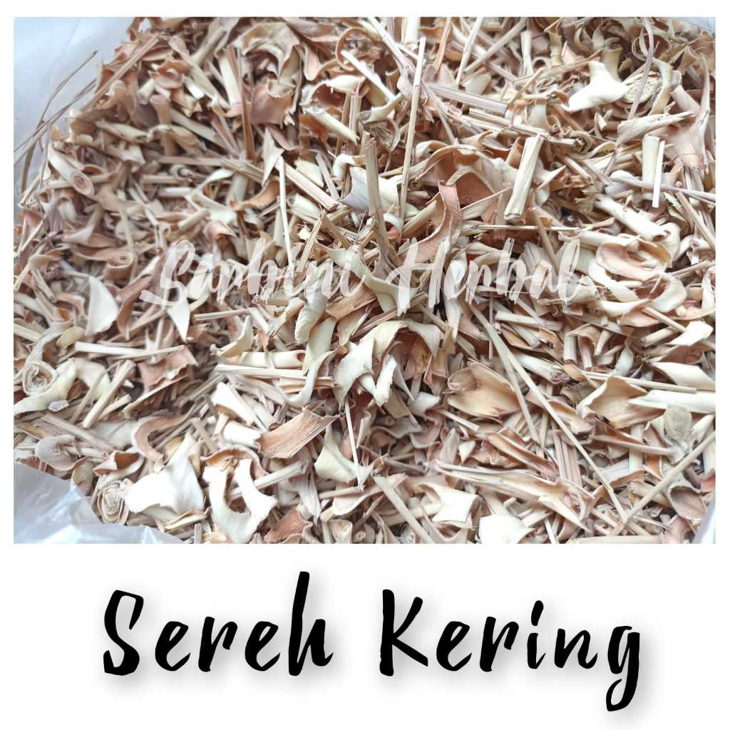 

Sereh/Serai/Sere Kering 100 gram / 250 gram / 500 gram / 1000 gram (kg) Simplisia Kering Sereh/Serai/Sere/Garansi Terjamin 100% Asli Murni / Bahan Sereh/Serai/Sere Kering/Bahan Sereh/Serai/Sere Premium / Jamu Herbal Sereh/Serai/Sere Tradisional Tanpa Baha