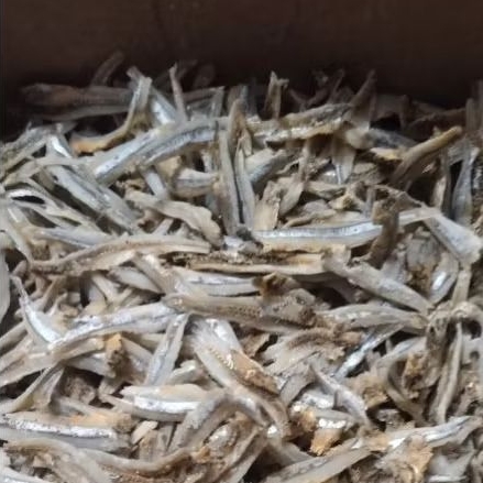 

ikan asin teri belah vip/ikan asin teri jengki belah super