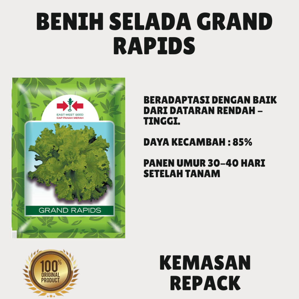 Bibit Benih Selada Grand Rapids Panah Merah Kemasan Repack