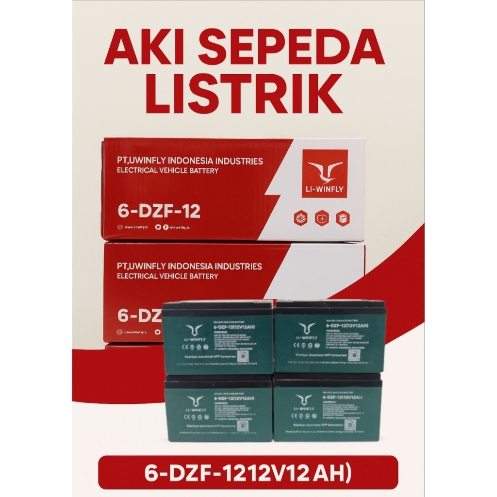 aki/batrai sepeda listrik U Winfly